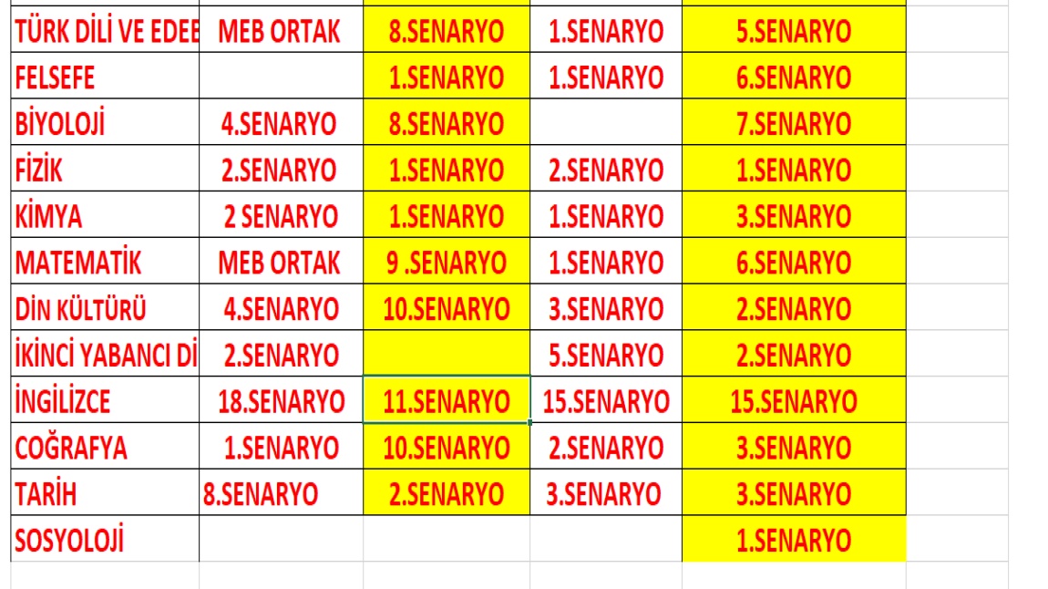 2024-2025 ÖĞRETİM YILI 2 .DÖNEM 1 . ORTAK YAZILI SENARYOLARI 